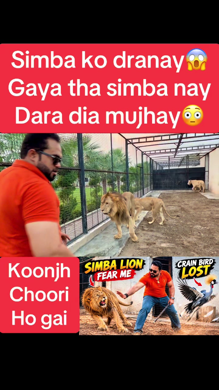 @Mian saqib