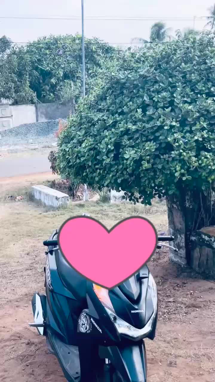 @Niell_🕊️