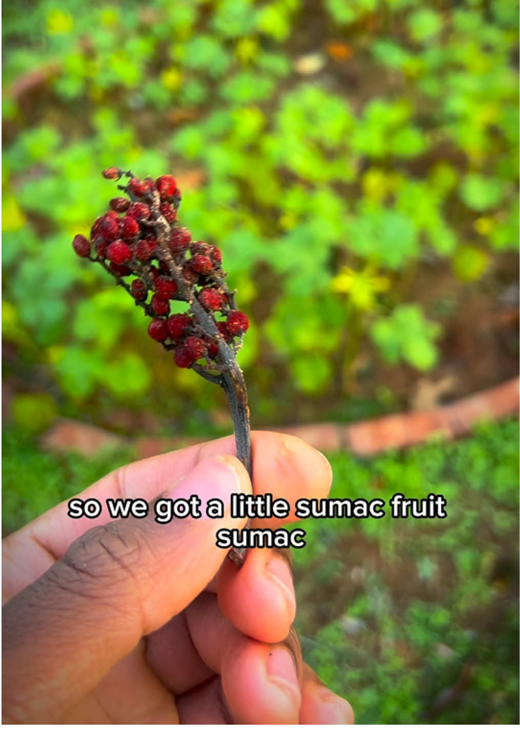 @bluacres