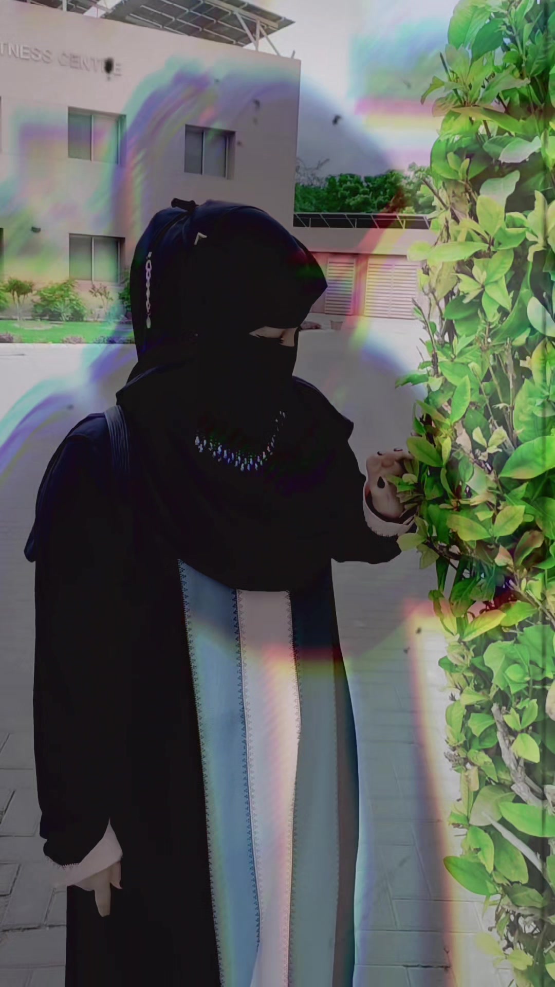 @✿᭄𝙷𝕚נₐᵦᥫ᭡፝֟፝֟࿐