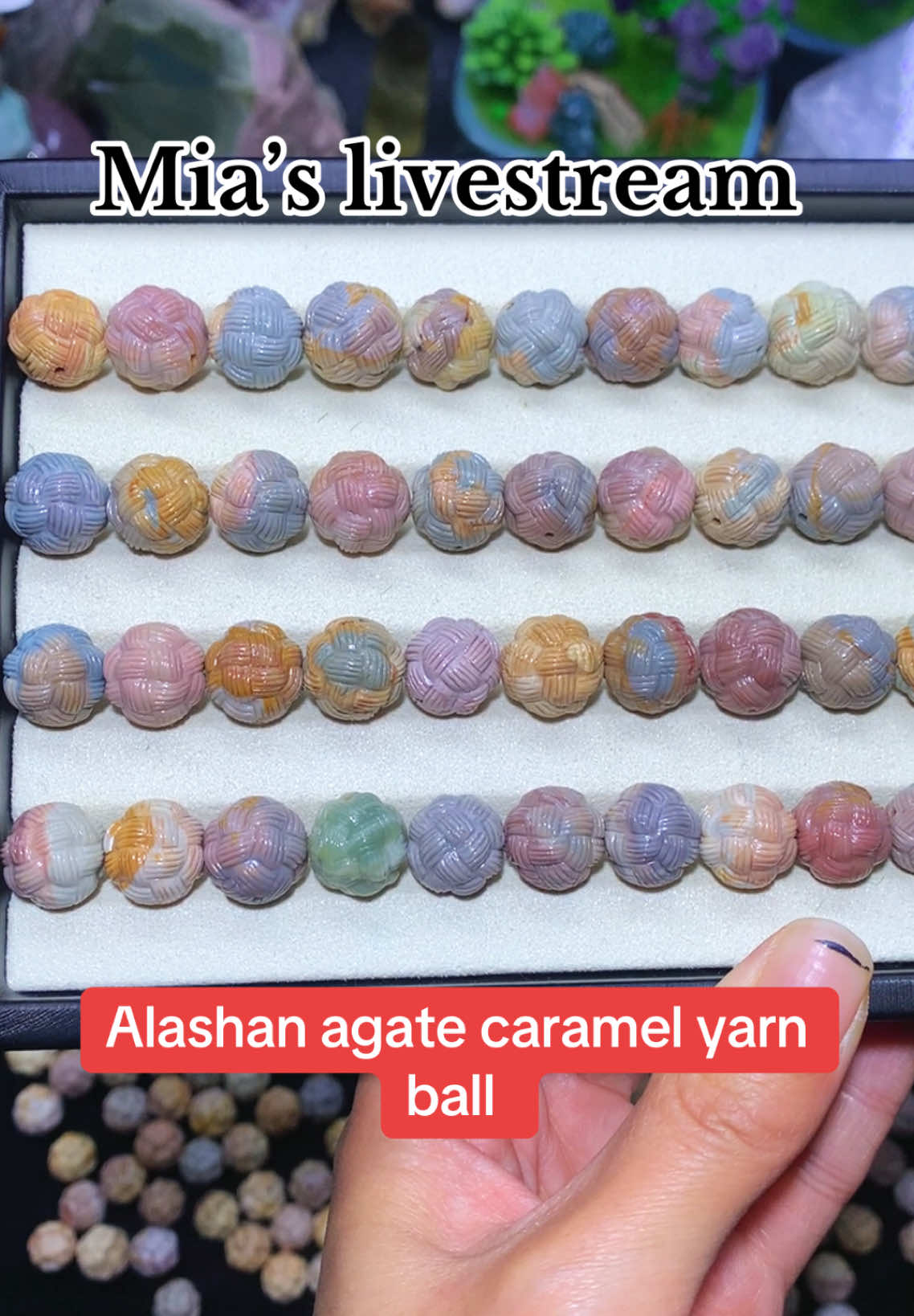 @ColorfulsisterUS