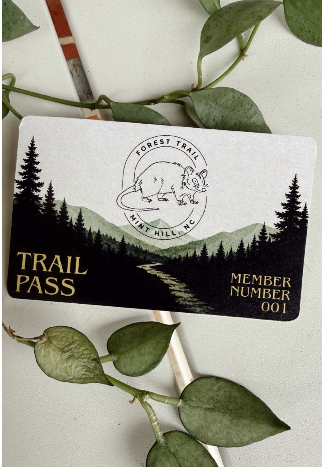 @foresttrailminthill