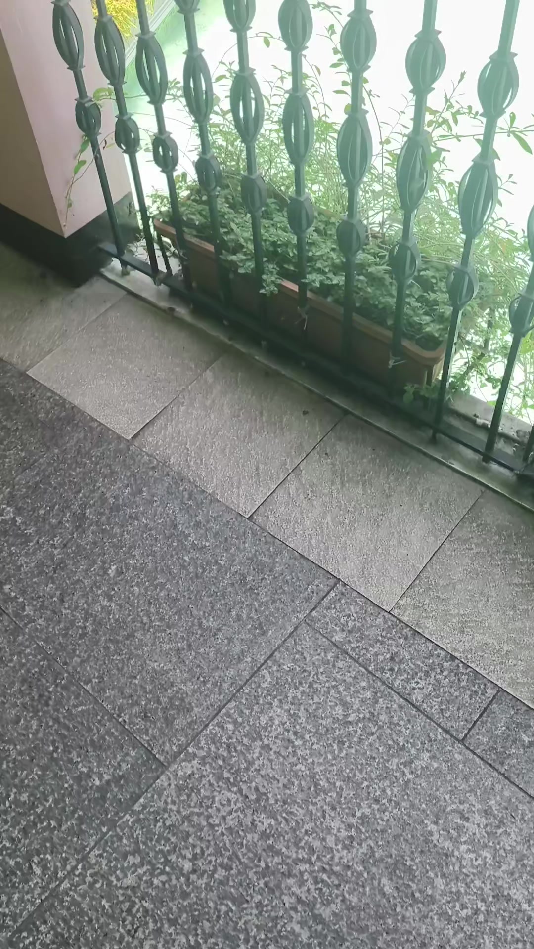 @๐น ๐ฐ ๐ฟ ๐ฟ ๐
๐จ๐ซ