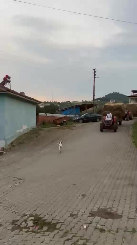 @&Ouml;zkan Heybetoğlu