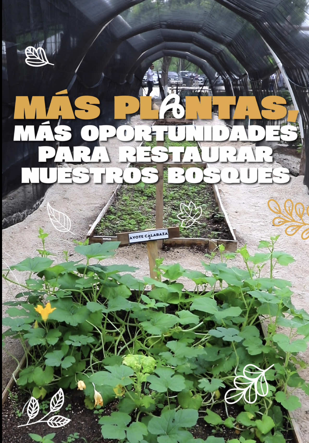 @Ministerio de Ambiente GT