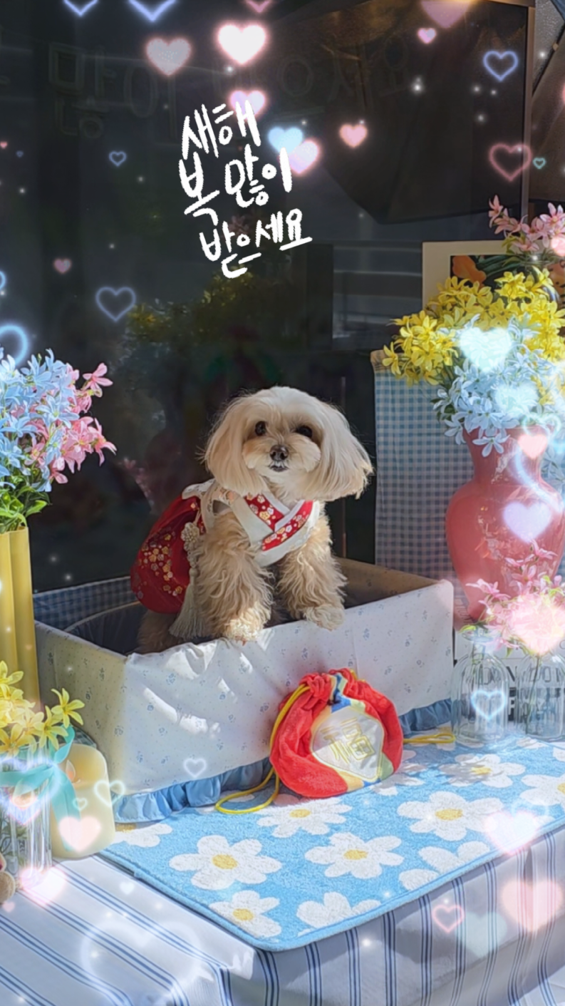 @토리엄마
