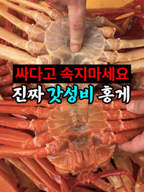 @싱싱헌터스
