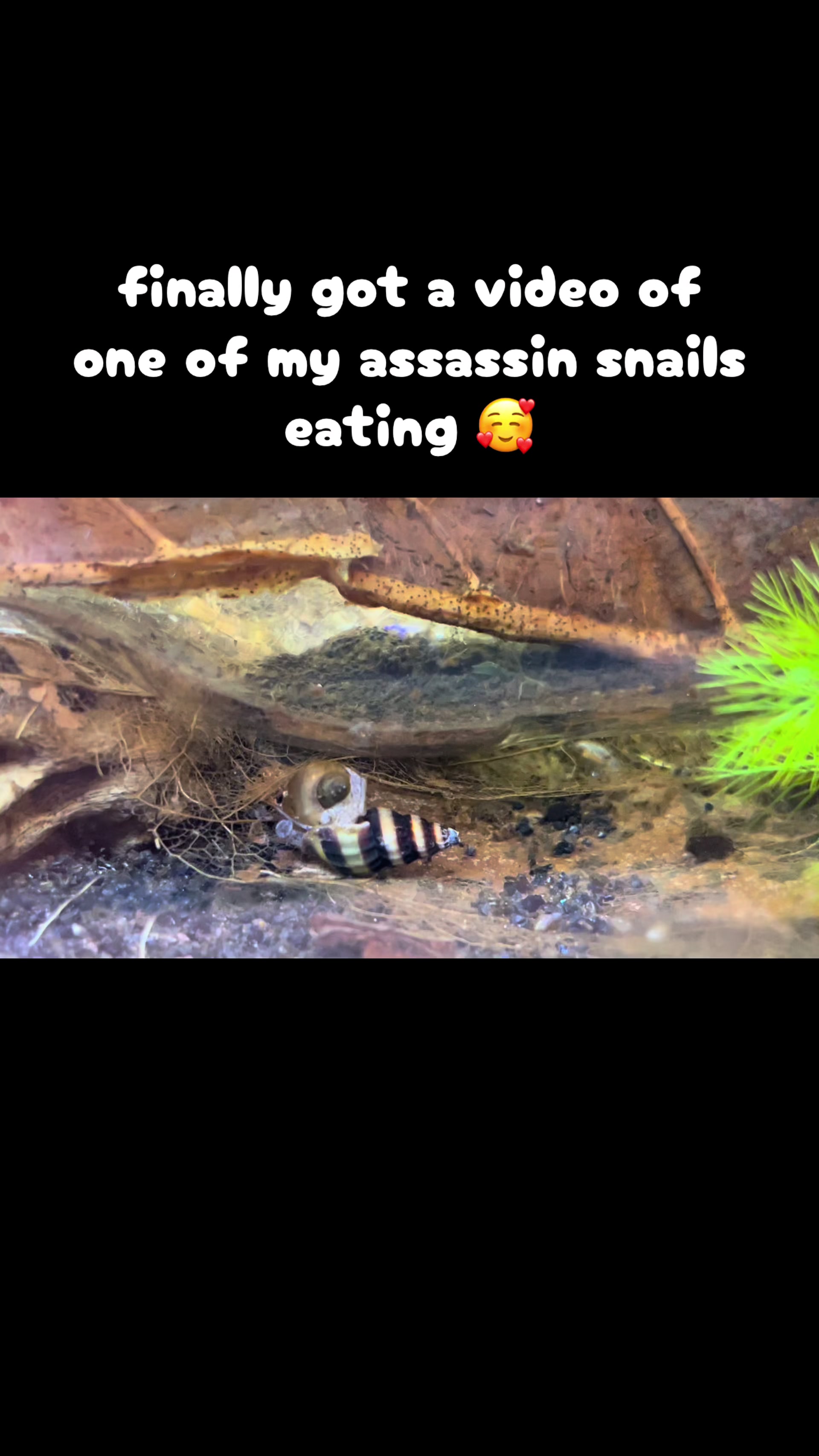 @<3