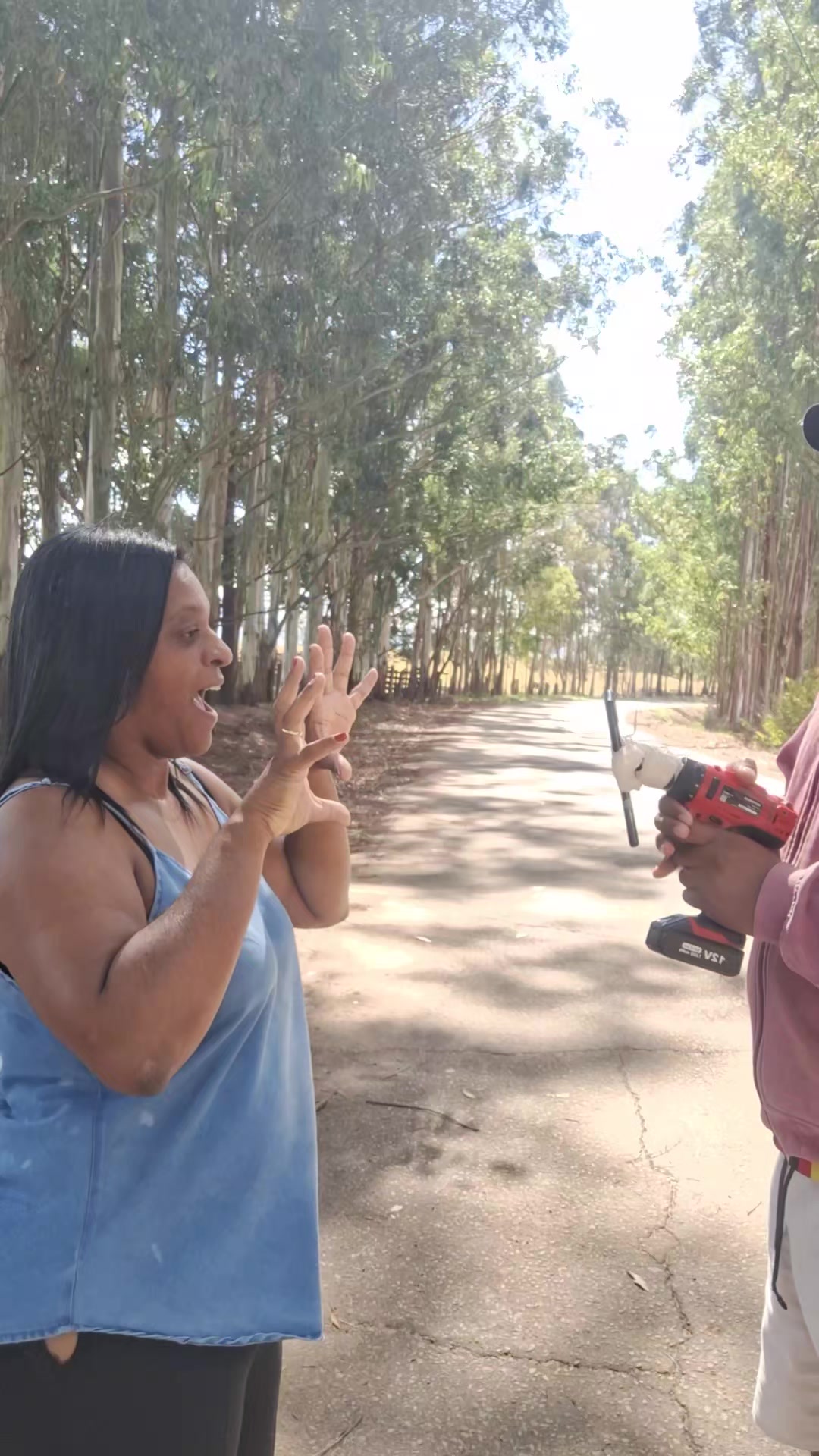 @Família dos Reis