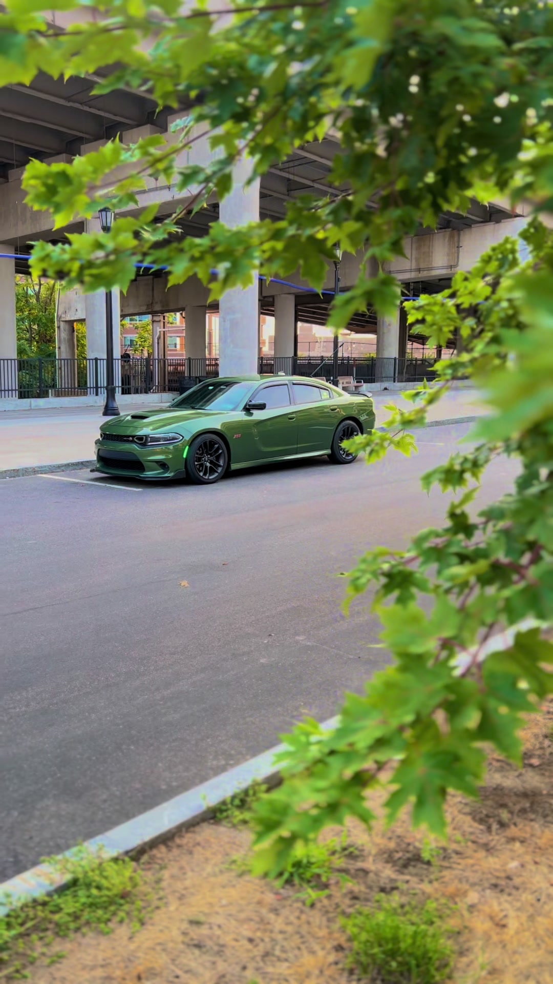 @392Predator | Automotive Media