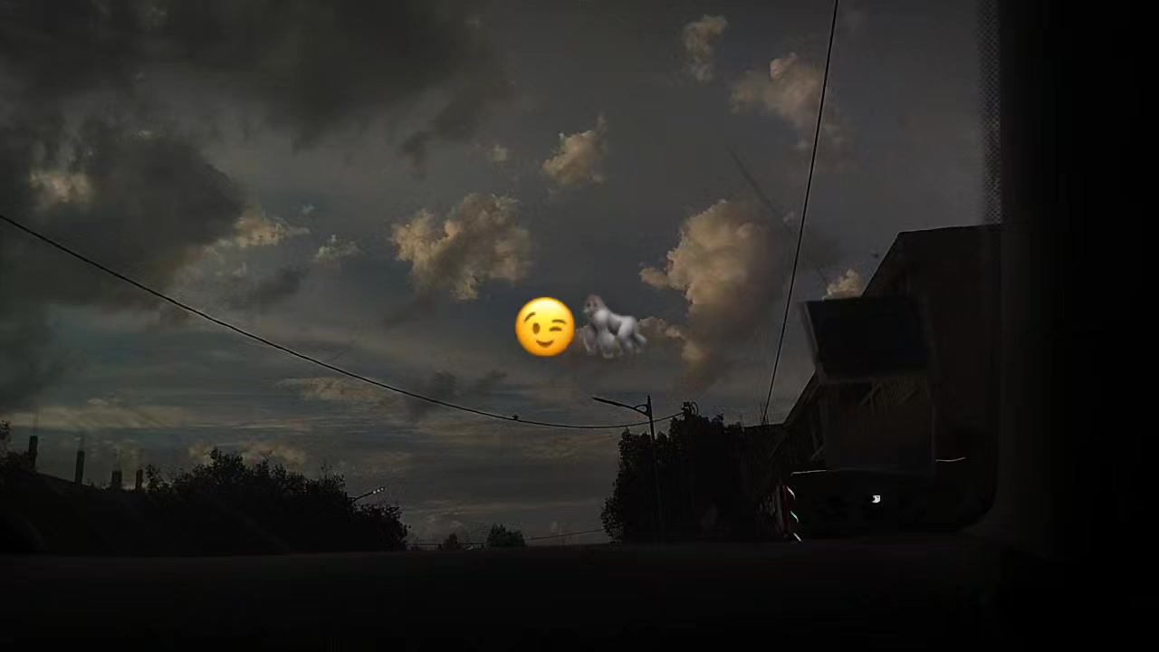 @𝑩𝒐𝒃𝒂🦁🇫🇷❤