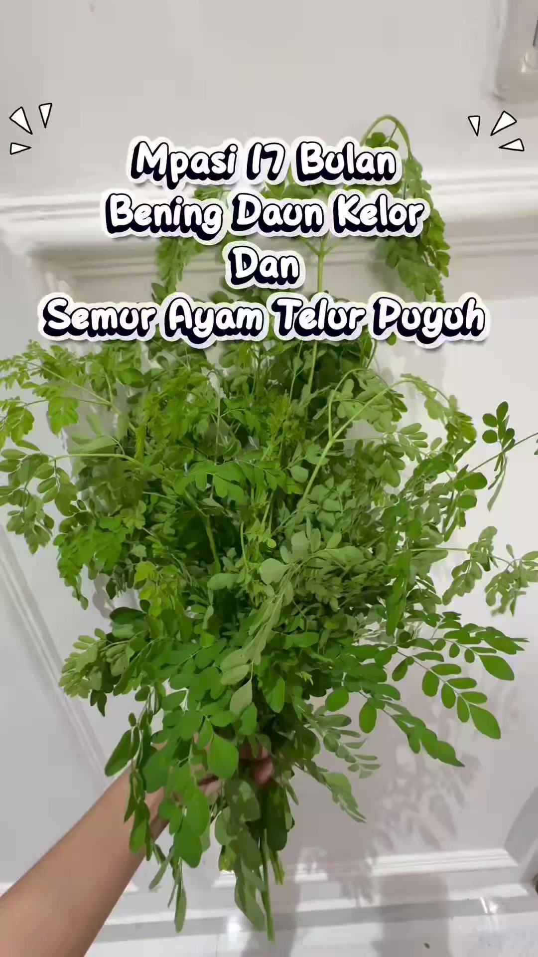 @Bungabms