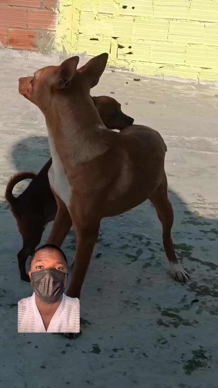 @Arojinle