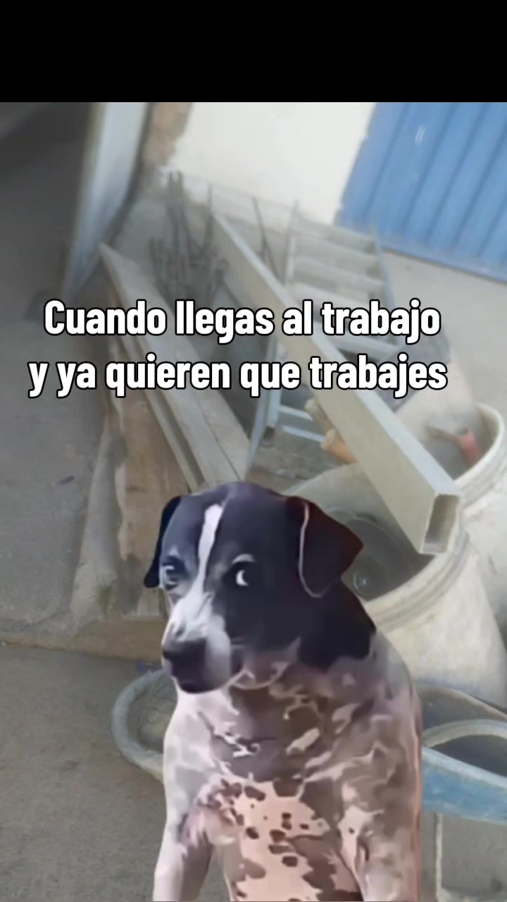 @viajero