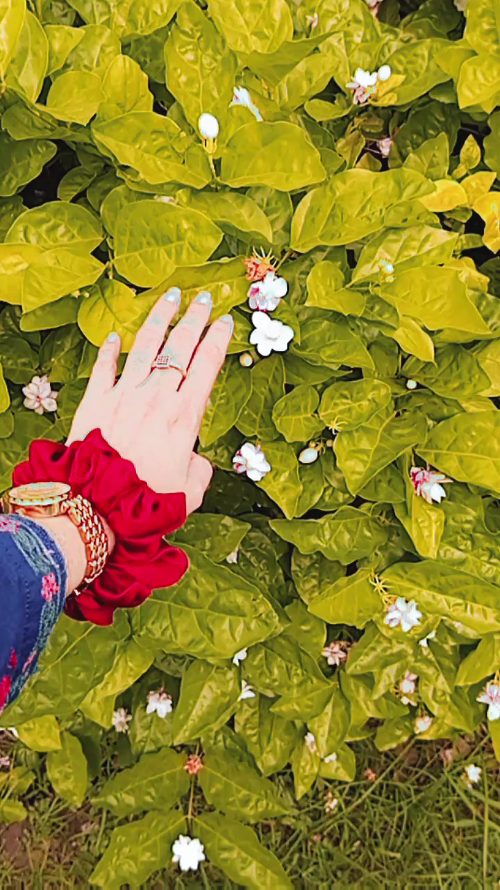 @ÑÃ❀❀ احسن کی بیگم ہوں ❀❀