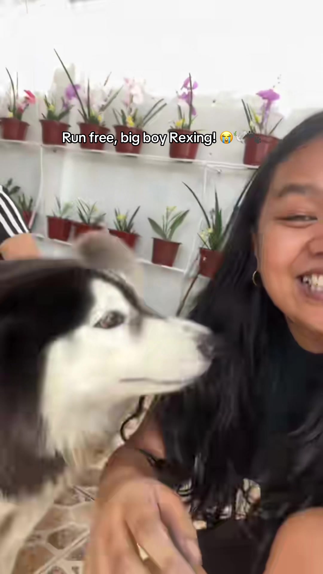 @๐๏ธ๐