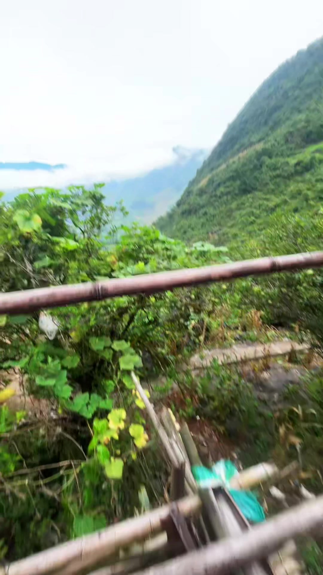 @LÍU 🇻🇳☣️