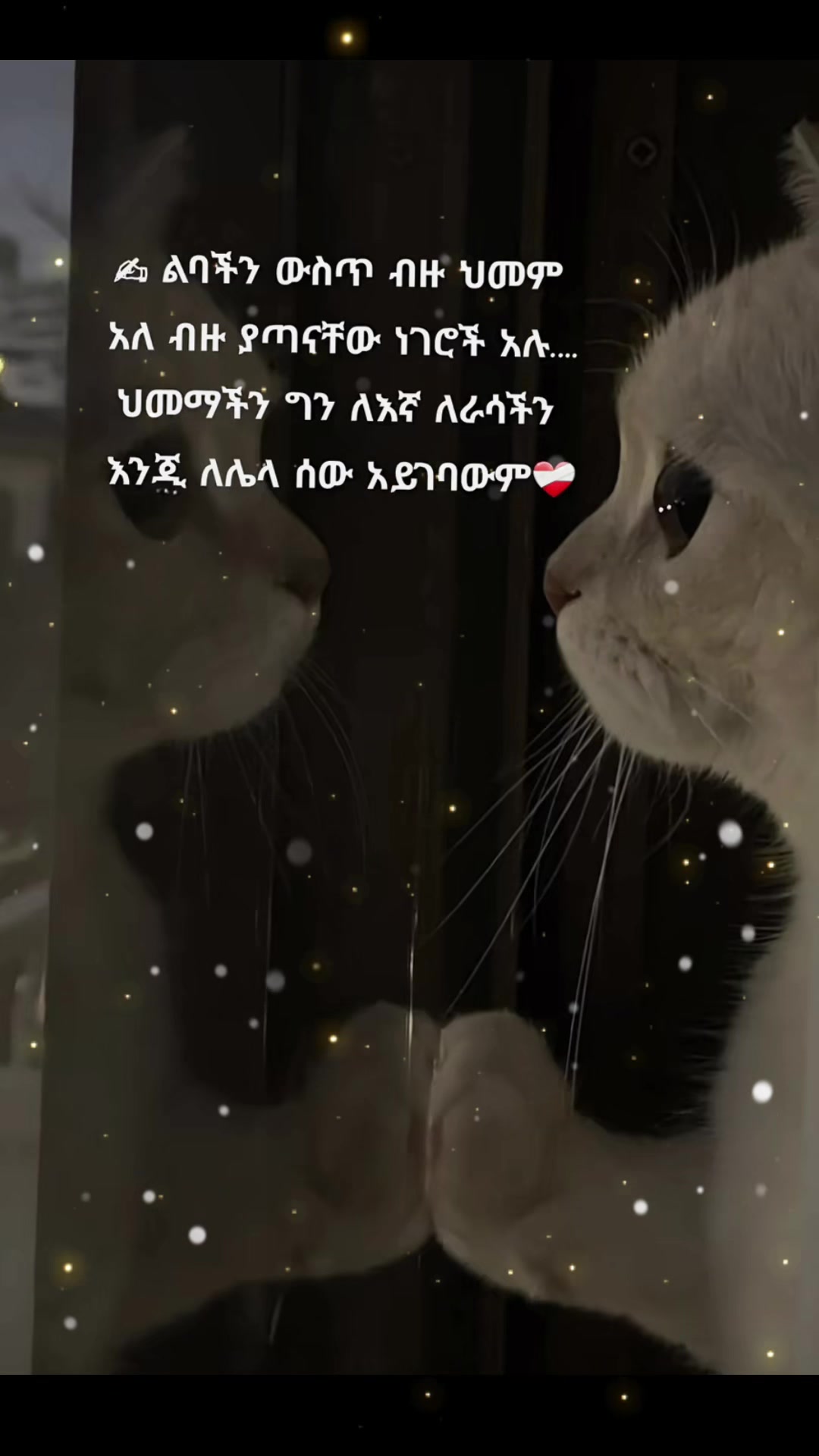 @✨Nazwef🖋💊