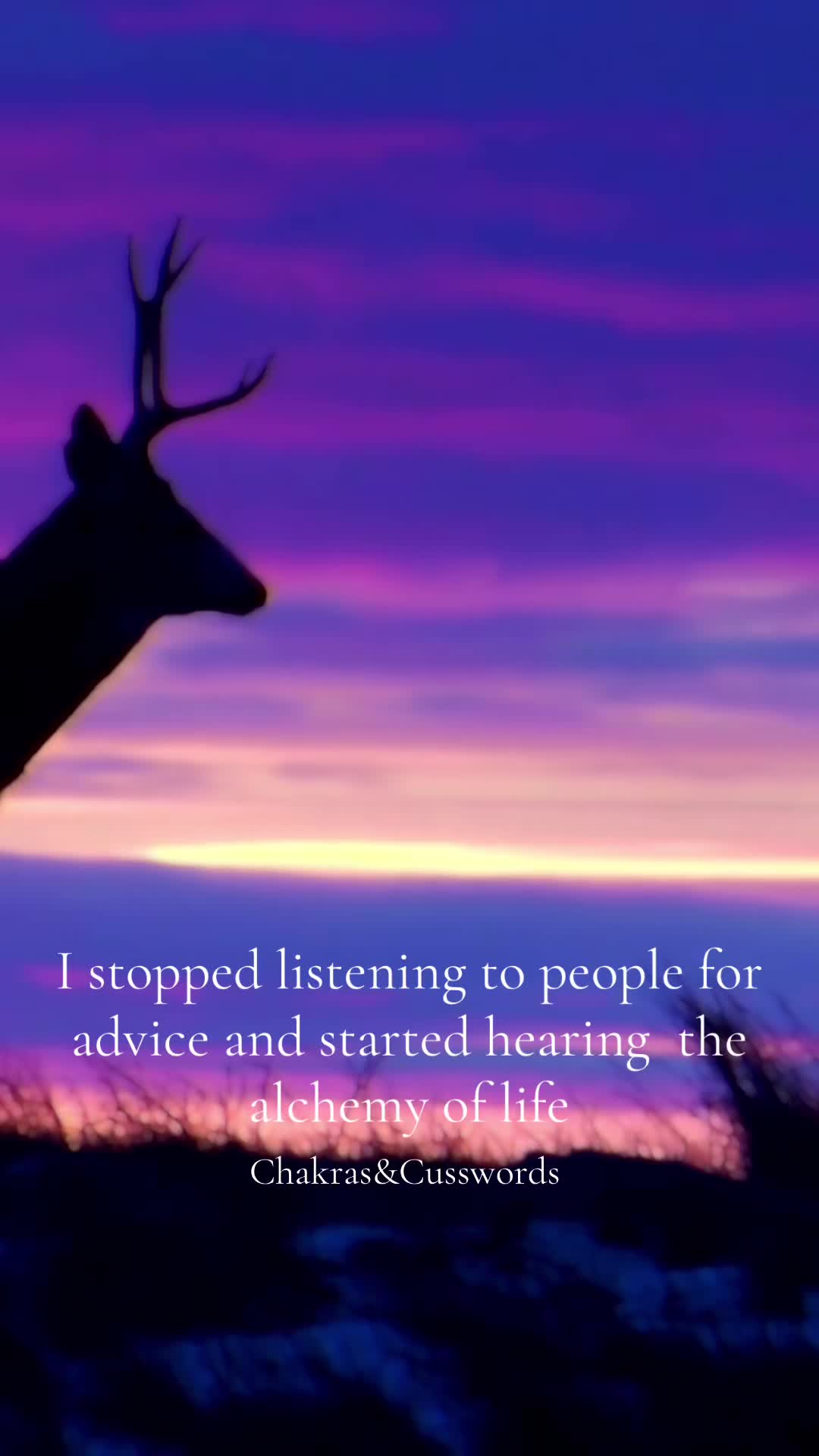 @Chakras & Cusswords Podcast