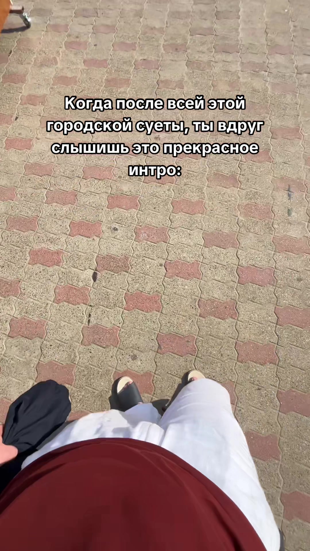 @𝐇𝐨𝐫𝐠_𝐬𝐭𝐚𝐯26