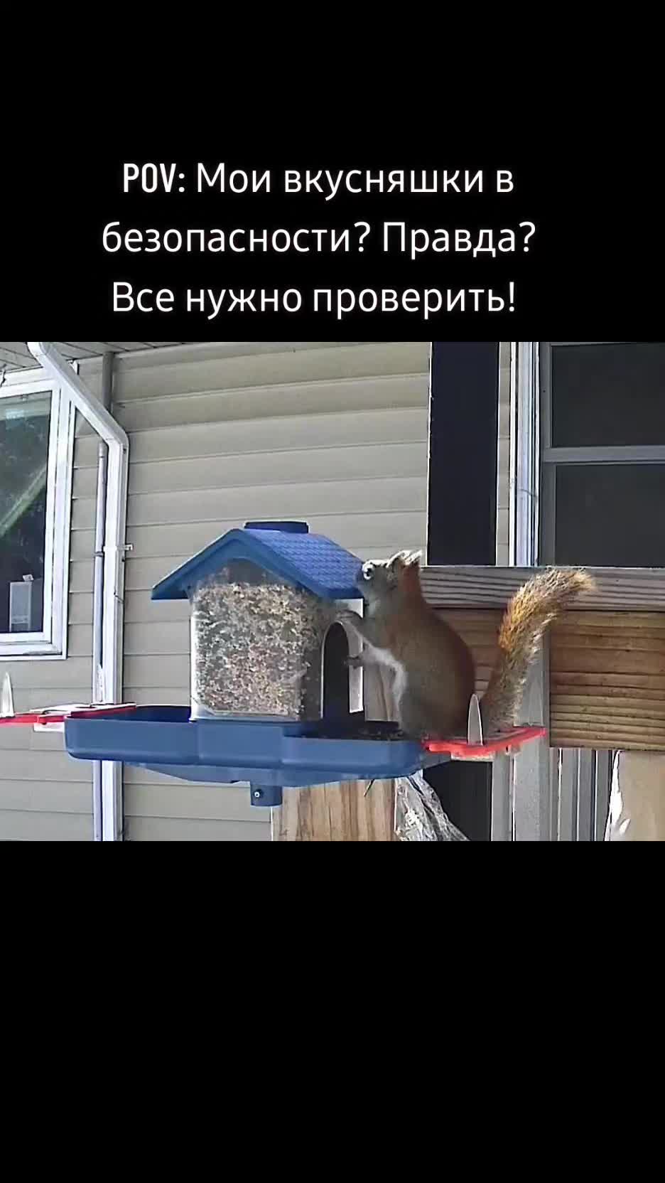 @Любопытно