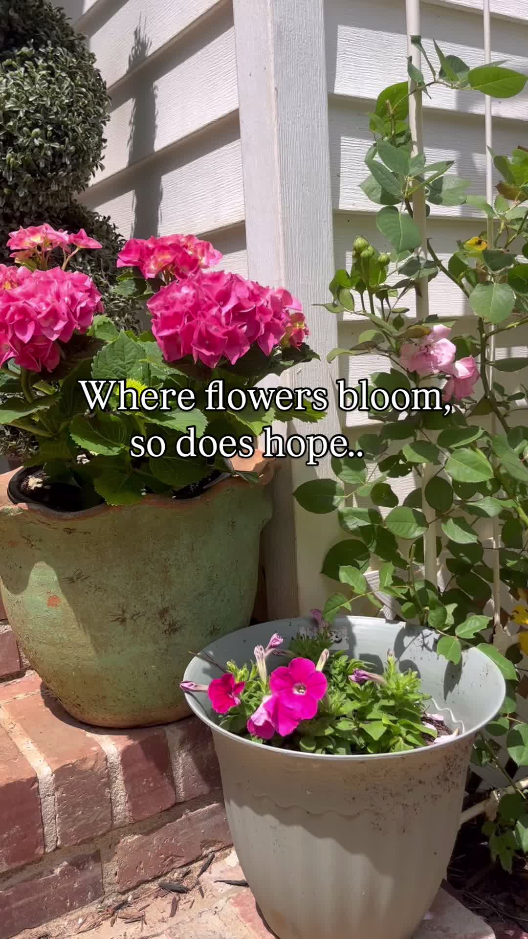 @Cottageonwynn