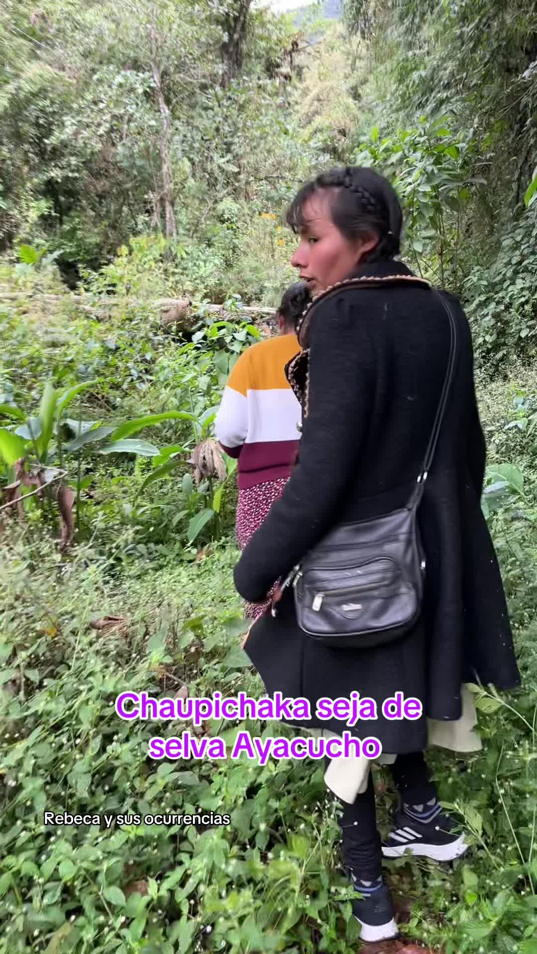 @🐈Rebeca y sus ocurrencias