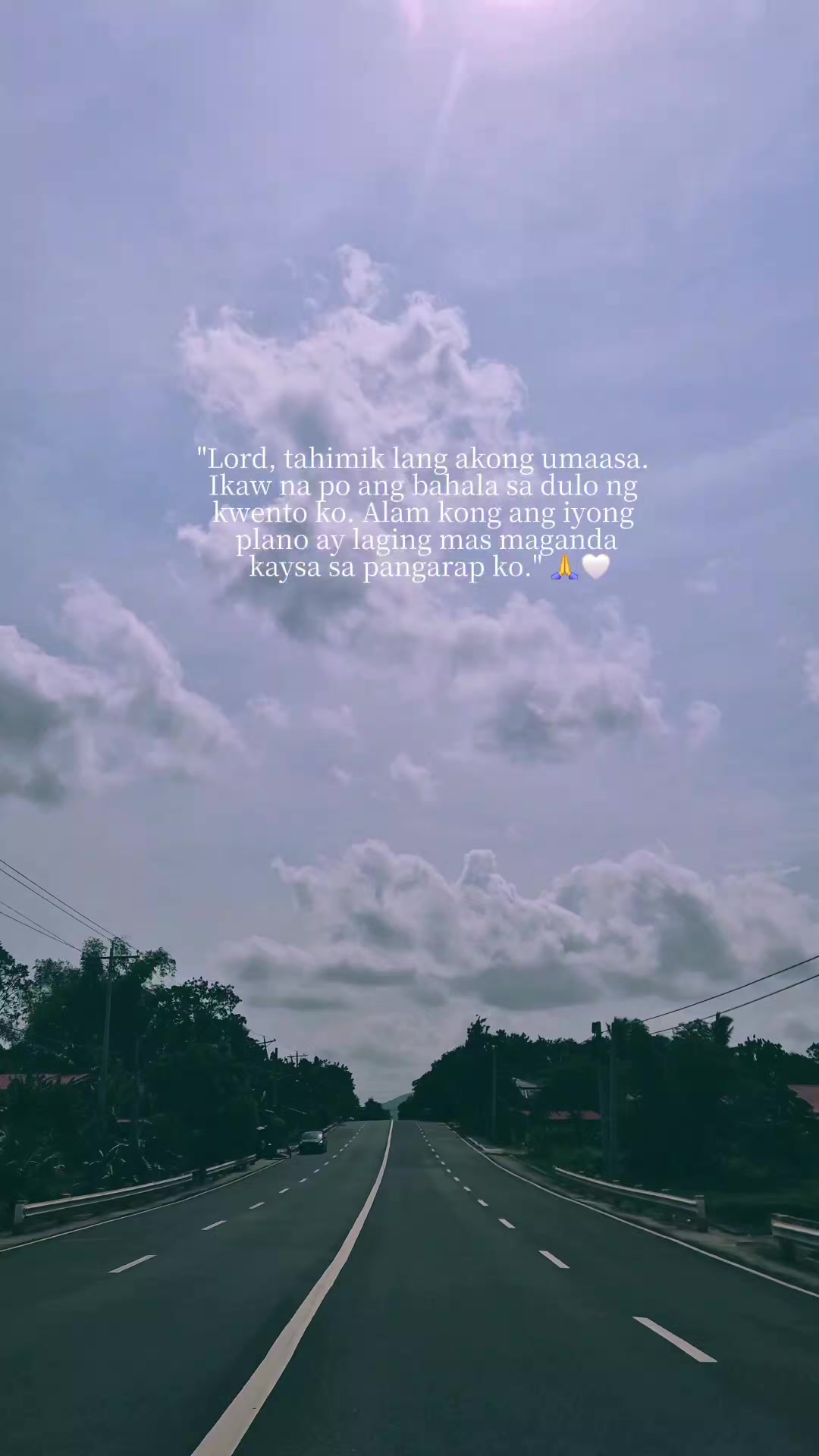 @Ann Ortiz;༊