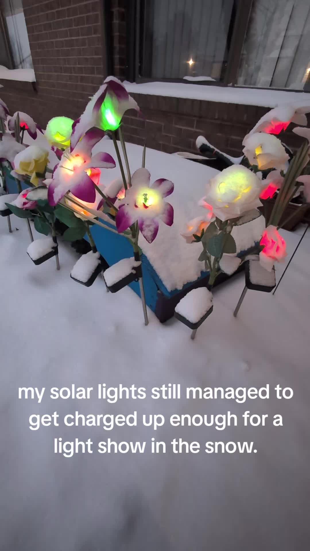 @DevineMadness
