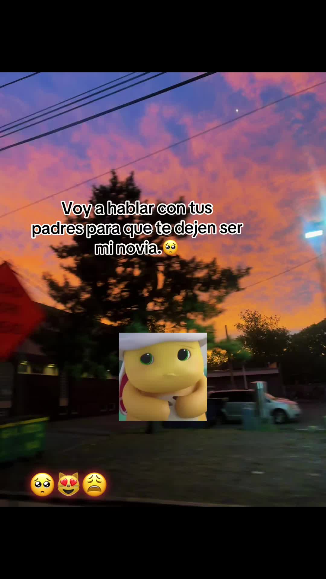 @Frases🧸❤️🩹@
