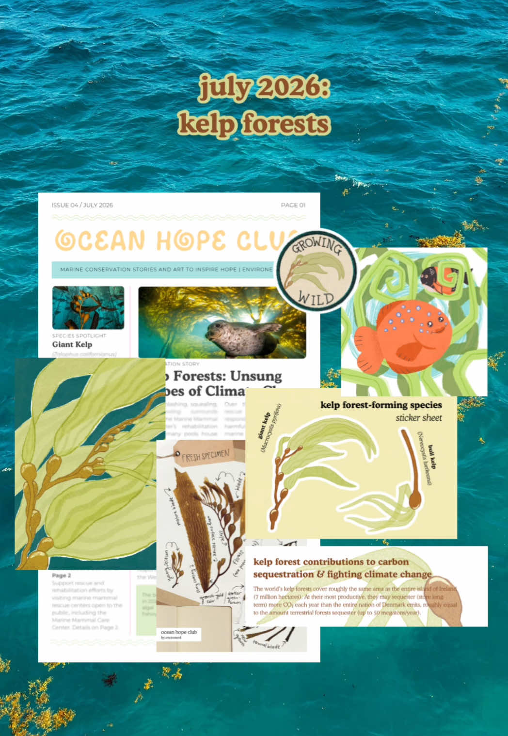 @environerd | ocean hope club💌