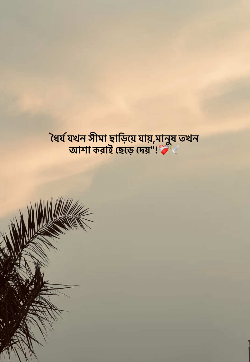 @𝐒𝐈 𝐘 𝐀𝐌 