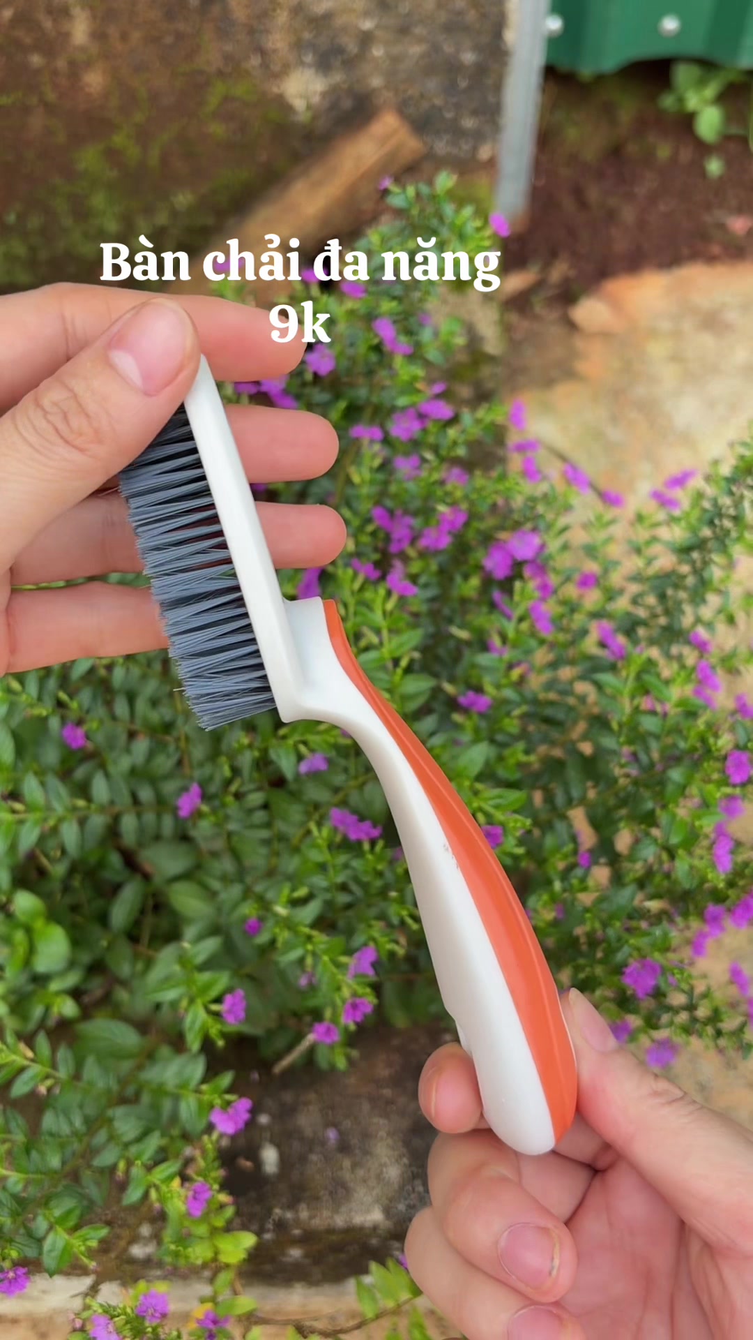 @Lì Tây Nguyên