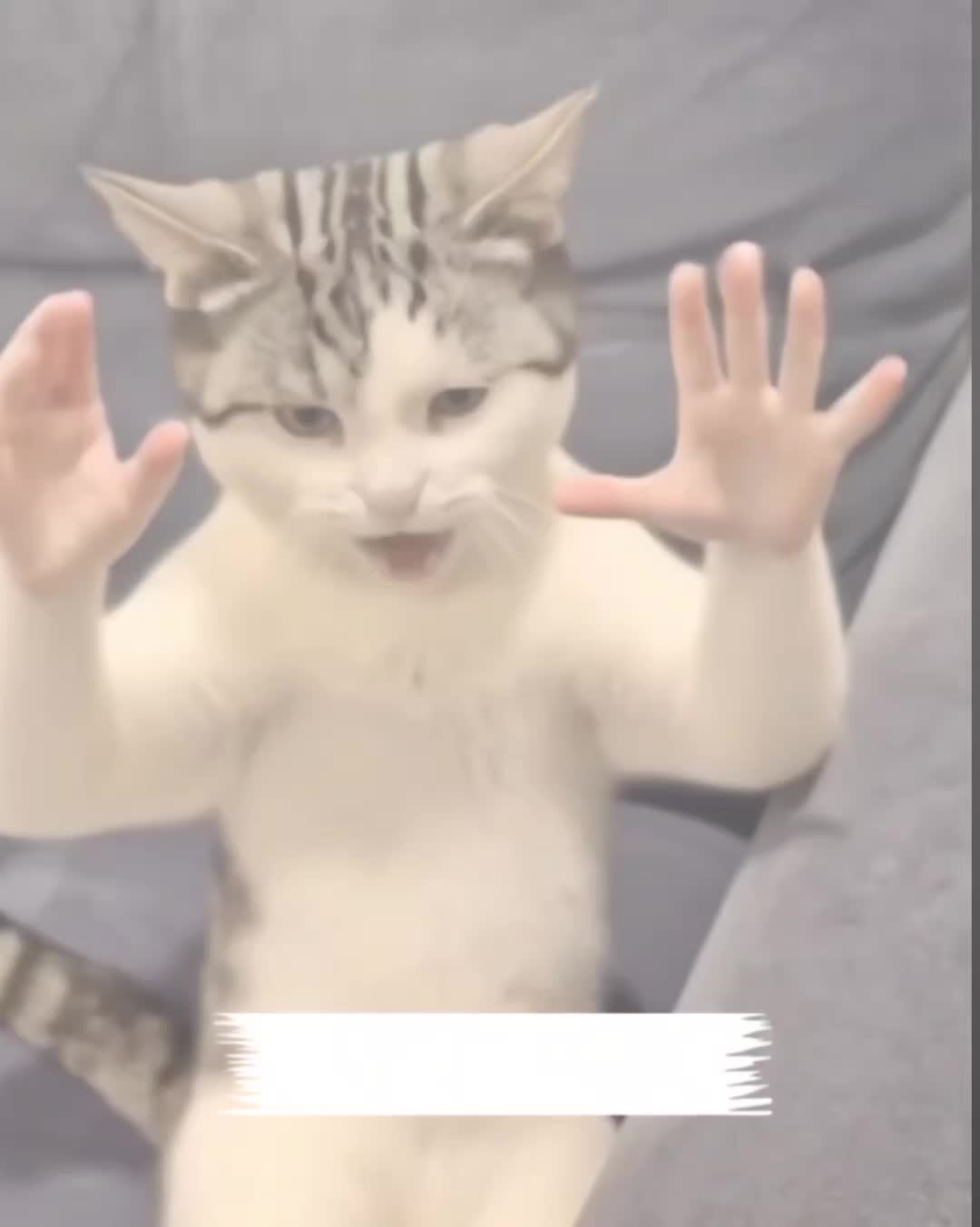 @My funny video