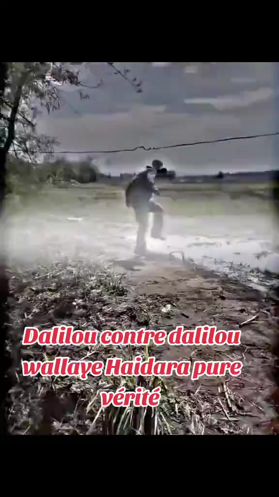 @Carreleur G.V Pro