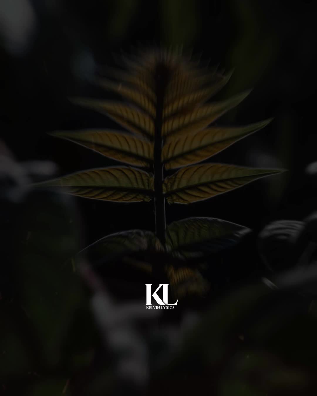 @𝐊𝐈𝐍𝐆 𝐎𝐅 𝐋𝐘𝐑𝐈𝐂𝐒