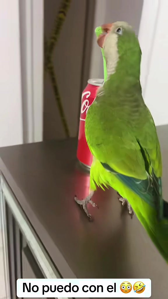 @Charlie🦜