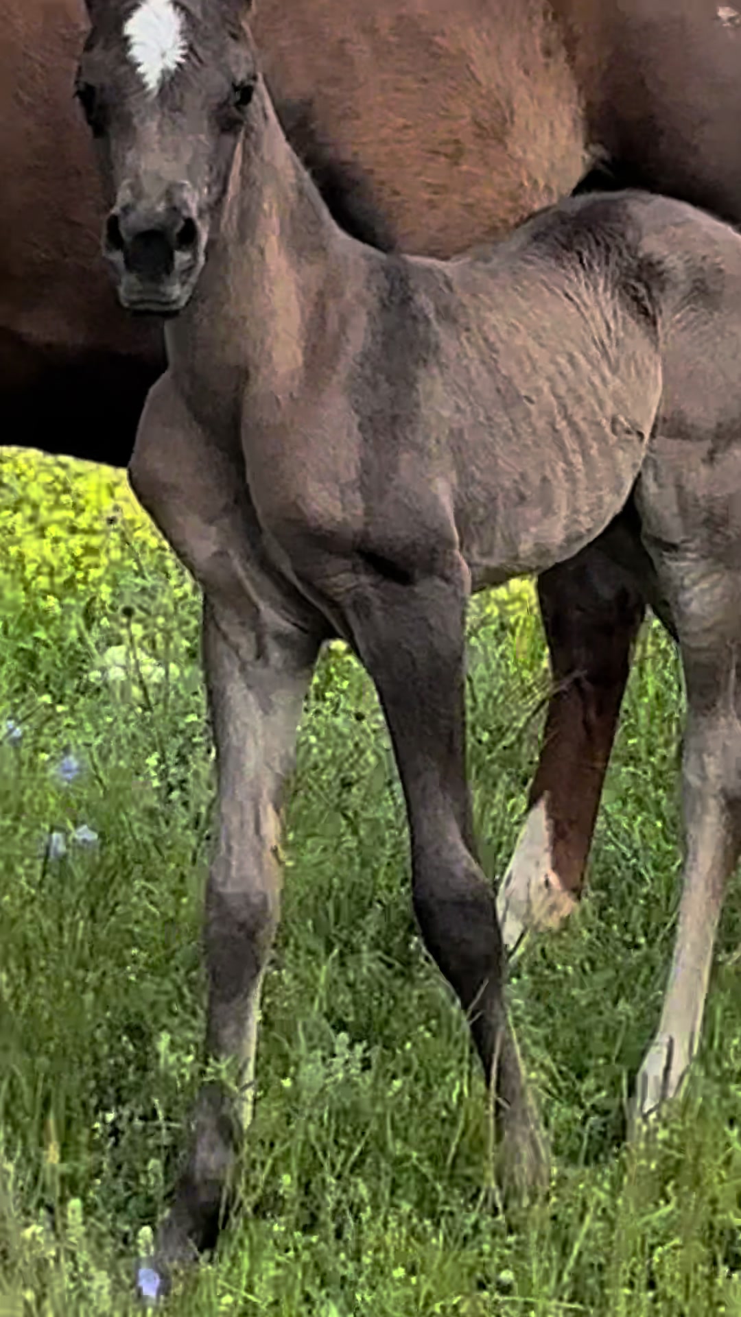 @MakvinStud