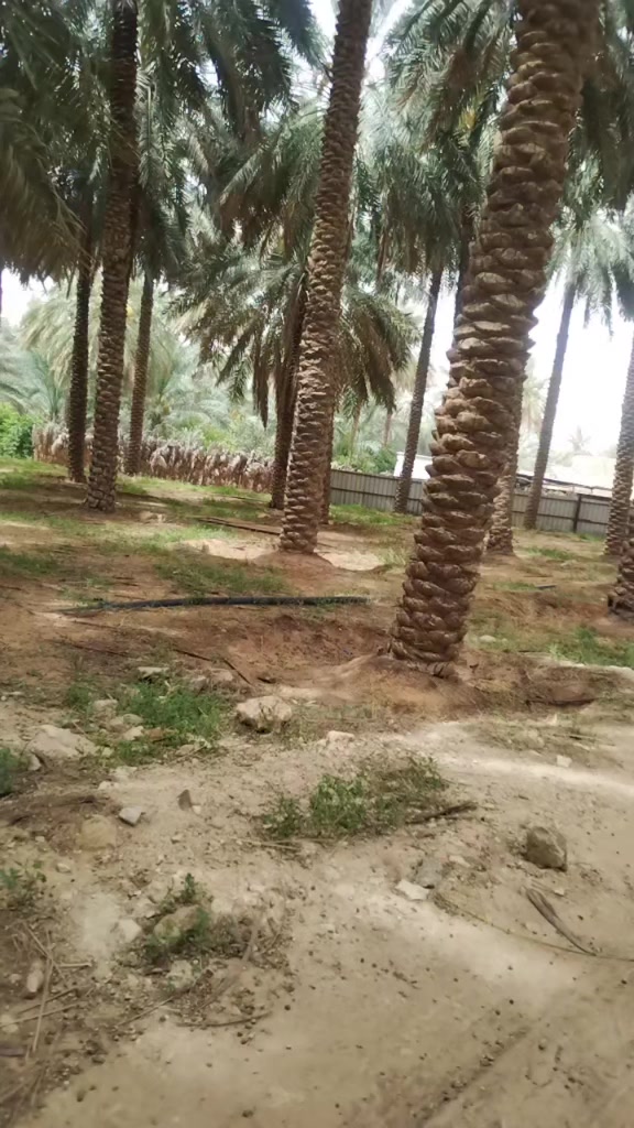 @muhmadfarooq98