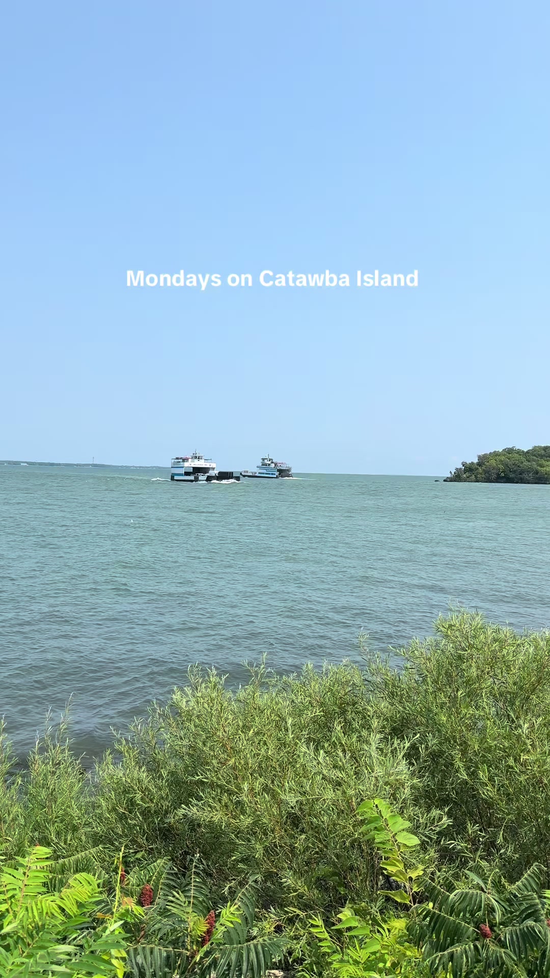 @Lake Erie Locals