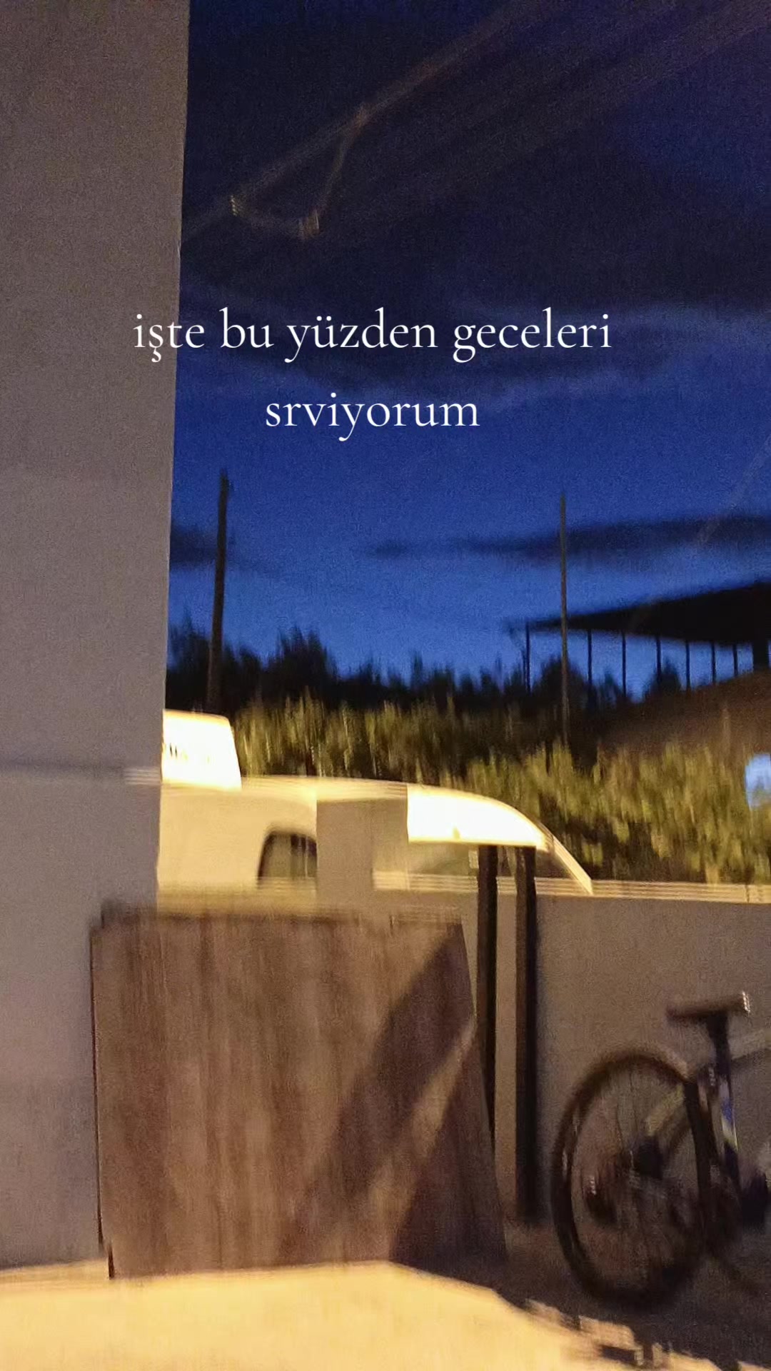 @asel farkedene nadar