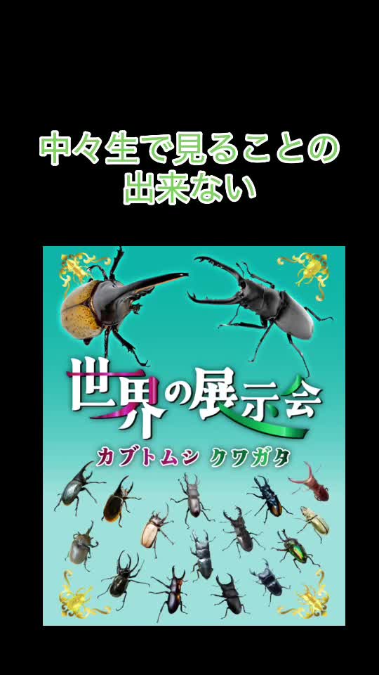 @総合ペットショップ ノーザンみしま