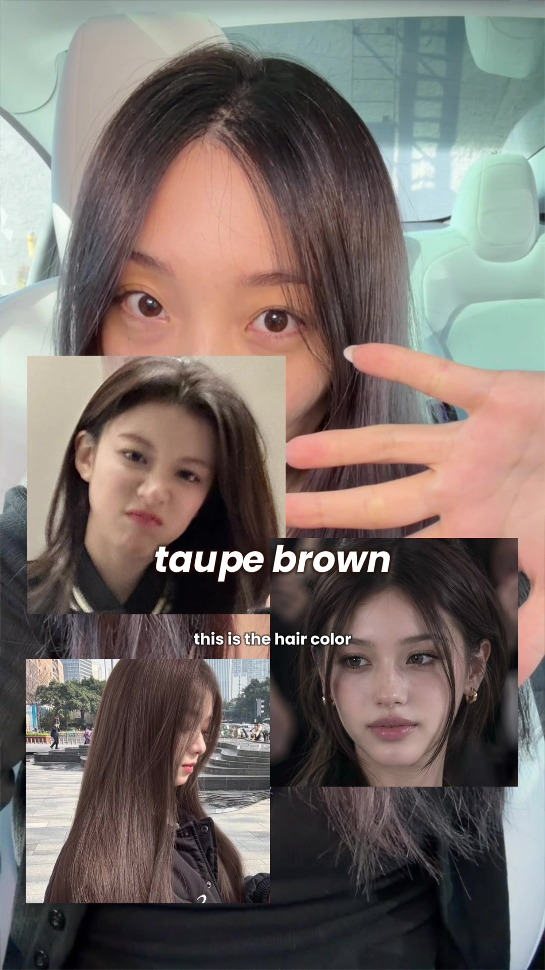 @lily