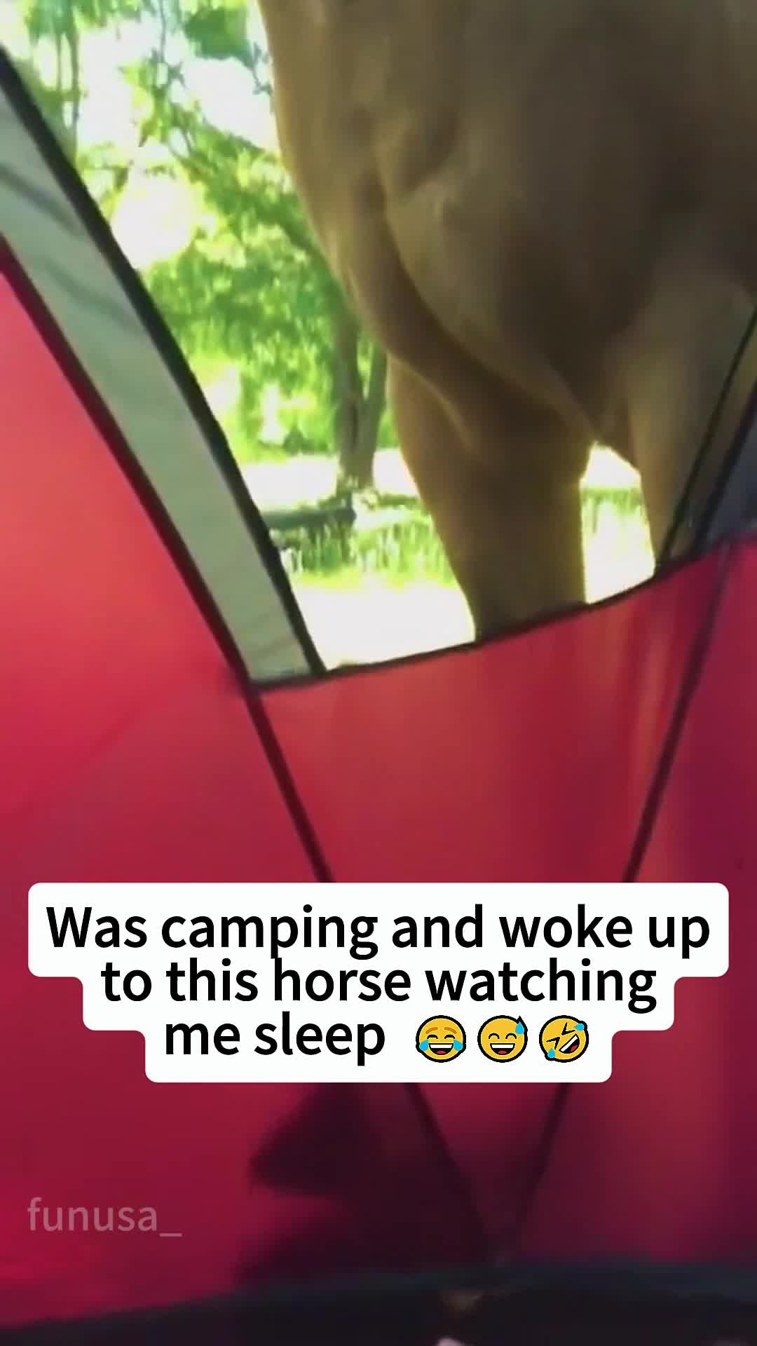 @funusa_