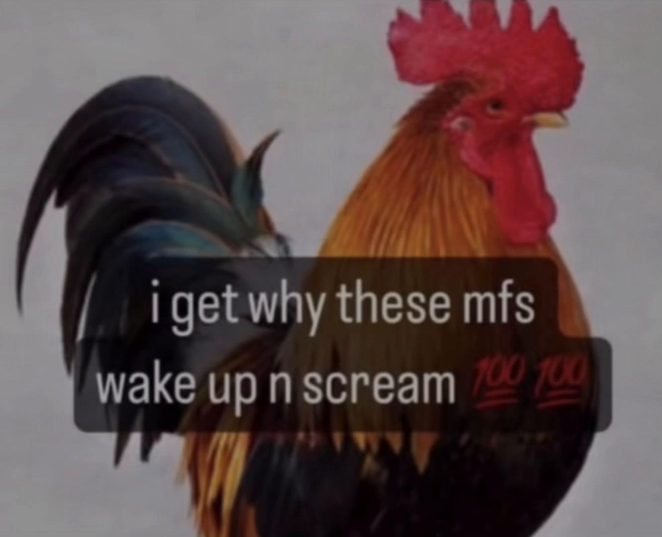 @zae