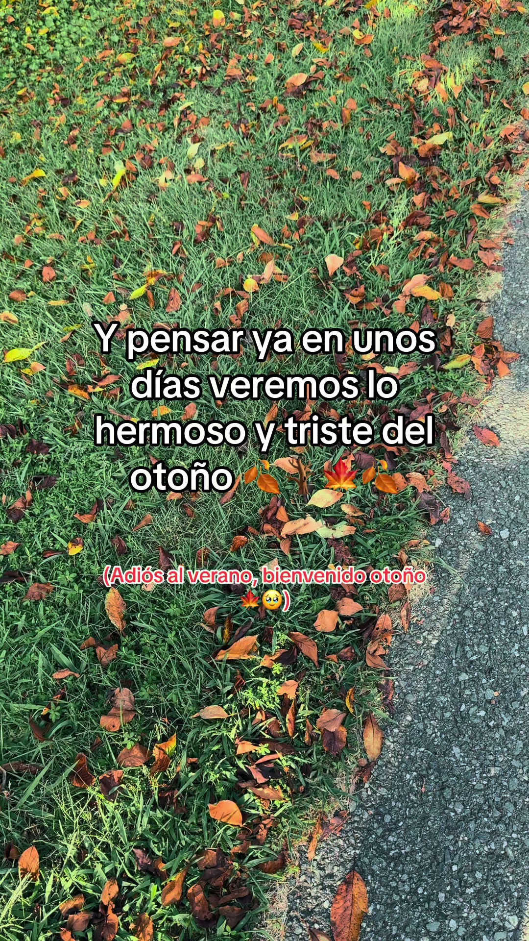 @Abel Vel&aacute;squez 🦺👷&zwj;♂️