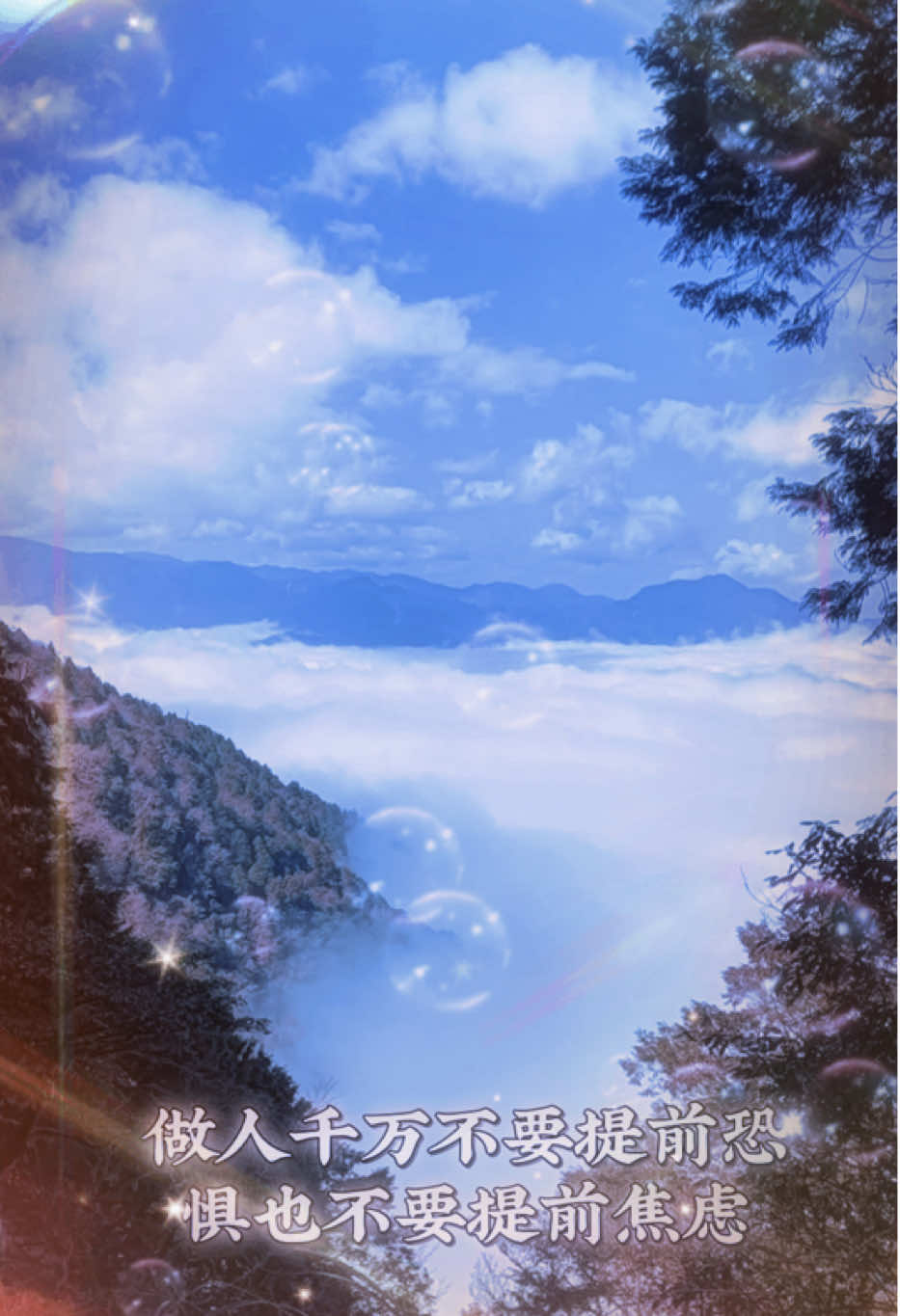 @菲菲