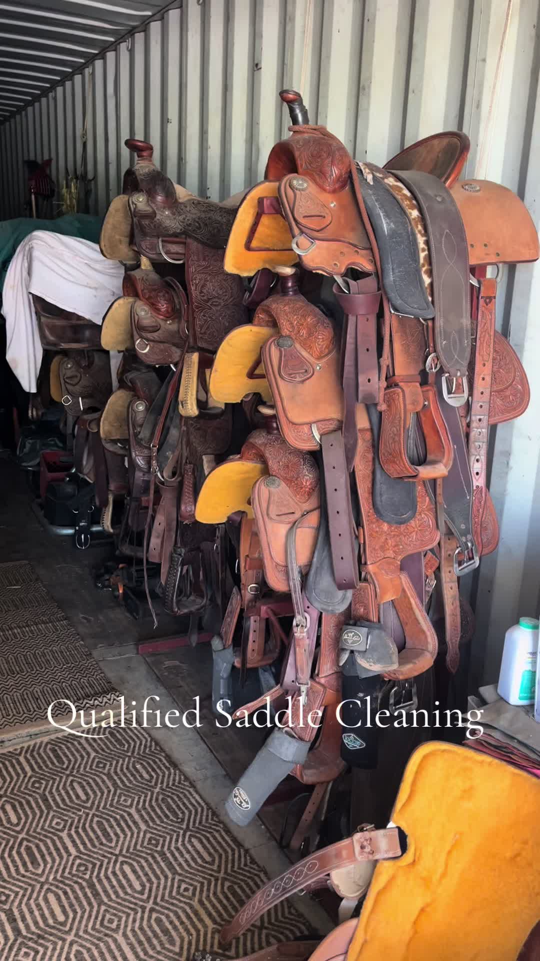 @Qualified Saddle Cleaning