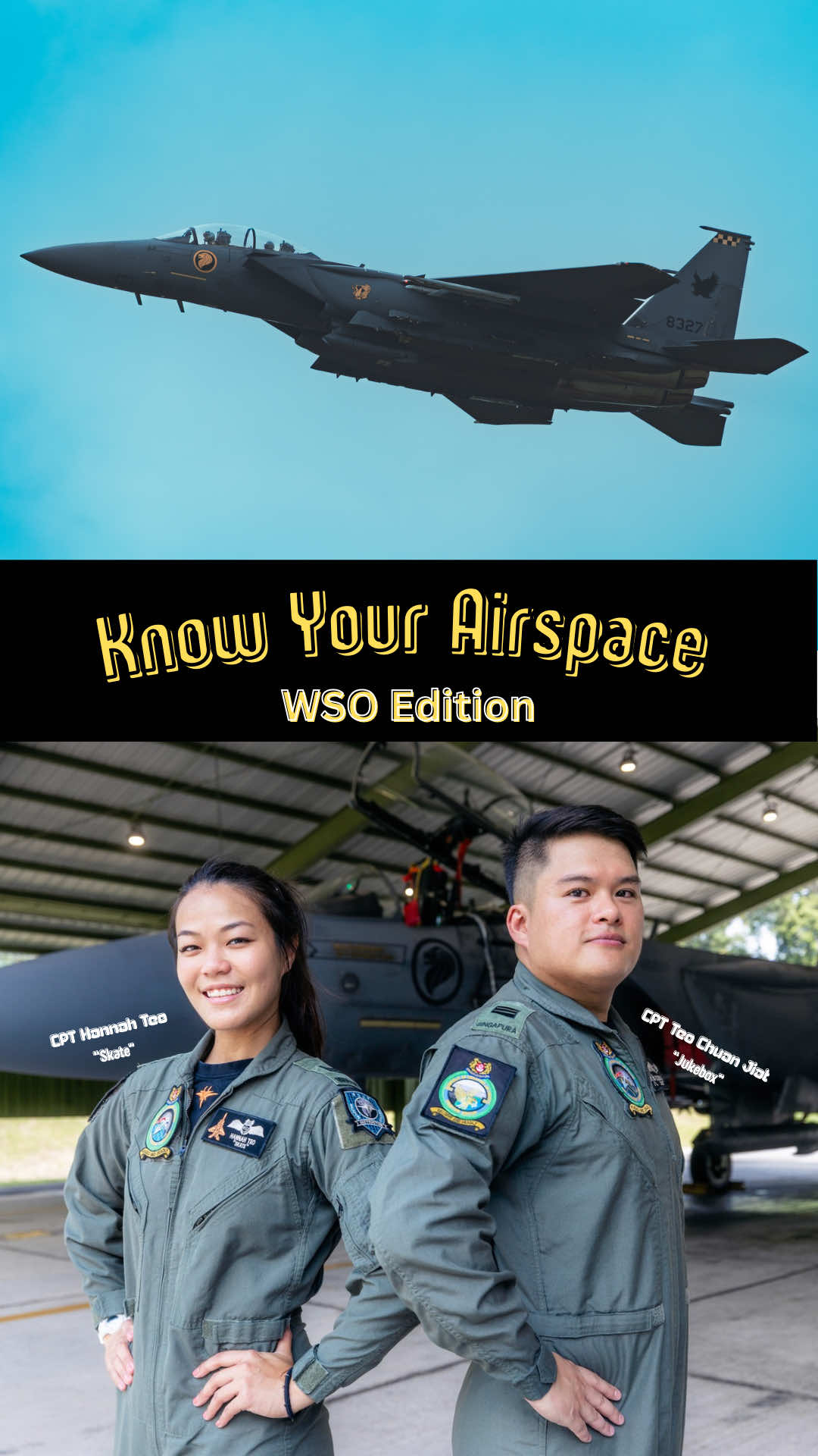 @TheRSAF