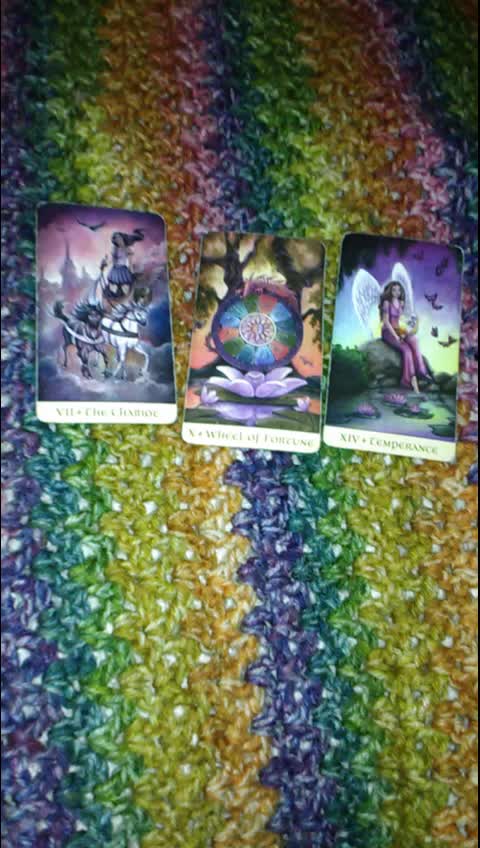 @the_owlsvisiontarot
